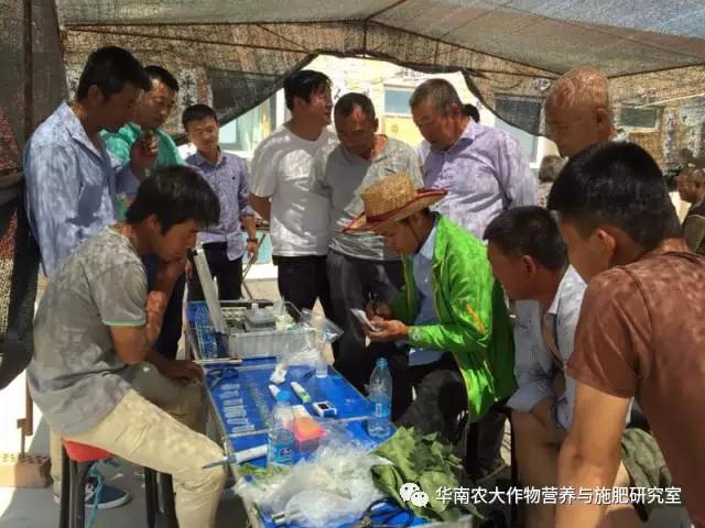 植物营养诊断仪在田间应用 植物营养诊断仪在田间应用